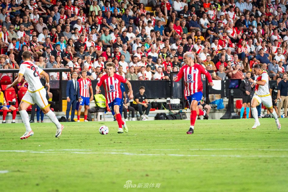 康复训练 康复训练